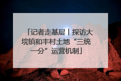 记者走基层丨探访大垸镇和丰村土地“三统一分”运营机制