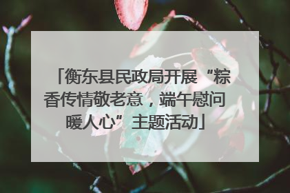 衡东县民政局开展“粽香传情敬老意，端午慰问暖人心”主题活动