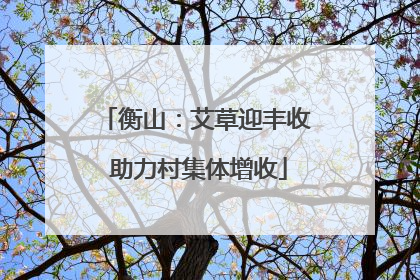 衡山：艾草迎丰收 助力村集体增收
