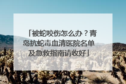 被蛇咬伤怎么办？青岛抗蛇毒血清医院名单及急救指南请收好