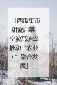 西瓜集市甜蜜启幕 宁波高塘岛推动“农业+”融合发展