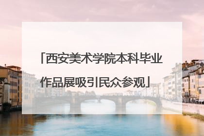 西安美术学院本科毕业作品展吸引民众参观