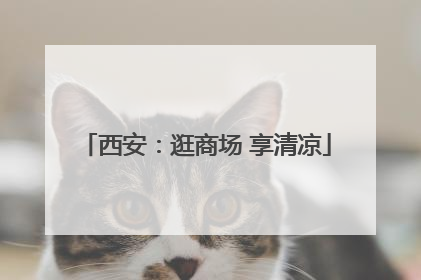 西安：逛商场 享清凉