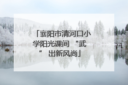 襄阳市清河口小学阳光课间 “武” 出新风尚