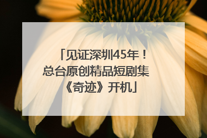 见证深圳45年！总台原创精品短剧集《奇迹》开机