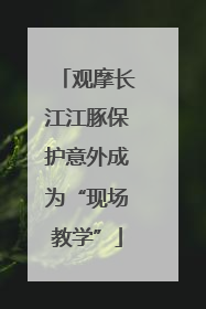 观摩长江江豚保护意外成为“现场教学”