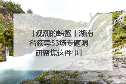 观潮的螃蟹丨湖南省领导53场专题调研聚焦这件事
