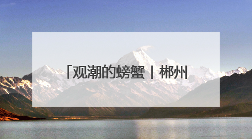 观潮的螃蟹丨郴州公务接待改革一周年的“零”经验