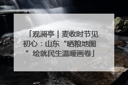 观澜亭｜麦收时节见初心：山东“晒粮地图”绘就民生温暖画卷