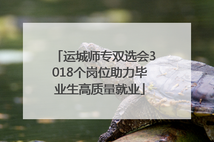 运城师专双选会3018个岗位助力毕业生高质量就业