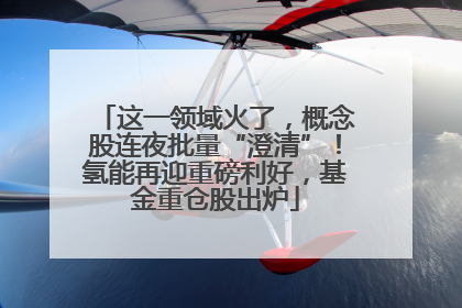 这一领域火了，概念股连夜批量“澄清”！氢能再迎重磅利好，基金重仓股出炉