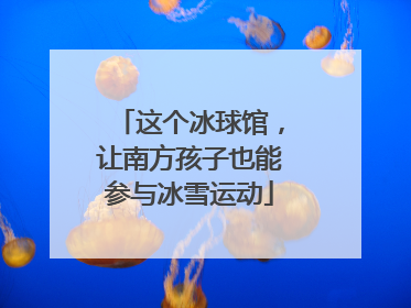 这个冰球馆，让南方孩子也能参与冰雪运动