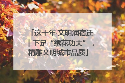 这十年·文明润宿迁｜下足“绣花功夫”，精雕文明城市品质