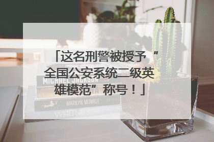这名刑警被授予“全国公安系统二级英雄模范”称号！