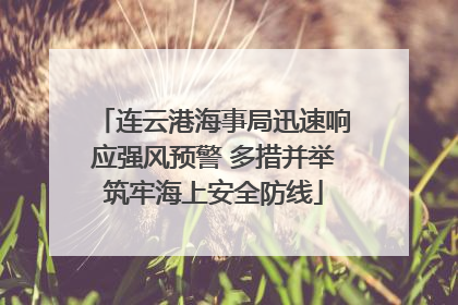 连云港海事局迅速响应强风预警 多措并举筑牢海上安全防线
