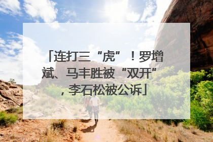 连打三“虎”！罗增斌、马丰胜被“双开”，李石松被公诉