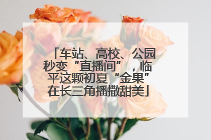 车站、高校、公园秒变“直播间”，临平这颗初夏“金果”在长三角播撒甜美