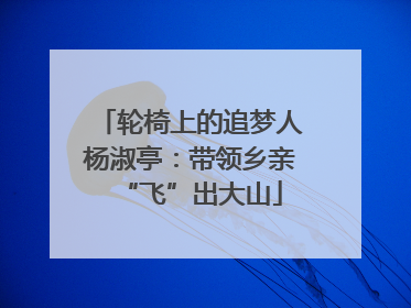 轮椅上的追梦人杨淑亭：带领乡亲“飞”出大山