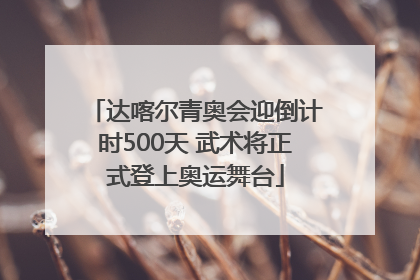 达喀尔青奥会迎倒计时500天 武术将正式登上奥运舞台