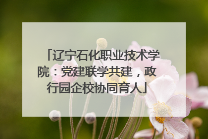 辽宁石化职业技术学院：党建联学共建，政行园企校协同育人