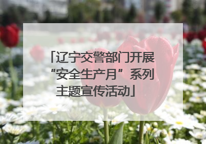 辽宁交警部门开展“安全生产月”系列主题宣传活动