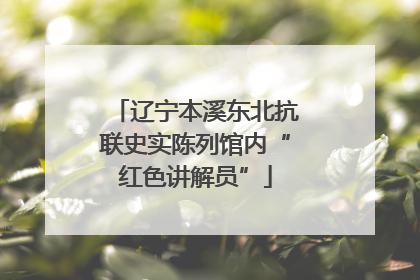 辽宁本溪东北抗联史实陈列馆内“红色讲解员”