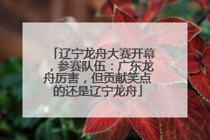 辽宁龙舟大赛开幕，参赛队伍：广东龙舟厉害，但贡献笑点的还是辽宁龙舟