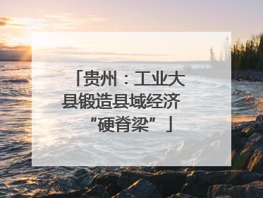 贵州：工业大县锻造县域经济“硬脊梁”