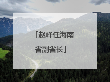 赵峰任海南省副省长