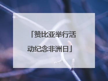 赞比亚举行活动纪念非洲日