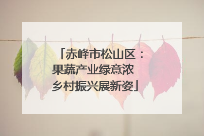 赤峰市松山区：果蔬产业绿意浓 乡村振兴展新姿