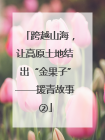 跨越山海，让高原土地结出“金果子”——援青故事②