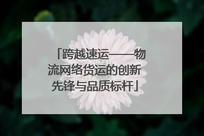 跨越速运——物流网络货运的创新先锋与品质标杆