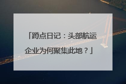 蹲点日记：头部航运企业为何聚集此地？