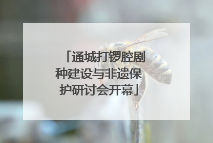 通城打锣腔剧种建设与非遗保护研讨会开幕