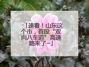 速看！山东这个市，首段“双向八车道”高速路来了~