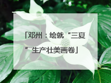 邓州：绘就“三夏”生产壮美画卷