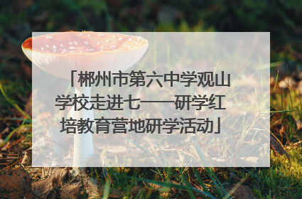 郴州市第六中学观山学校走进七一一研学红培教育营地研学活动
