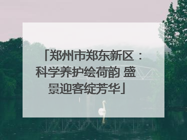 郑州市郑东新区：科学养护绘荷韵 盛景迎客绽芳华