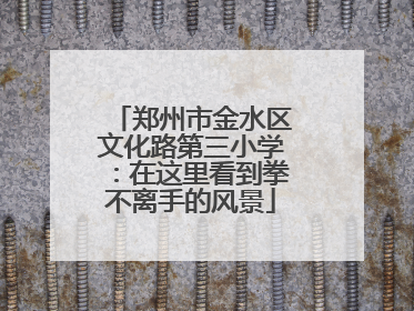 郑州市金水区文化路第三小学：在这里看到拳不离手的风景