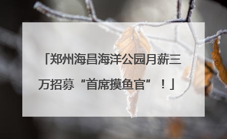 郑州海昌海洋公园月薪三万招募“首席摸鱼官”！