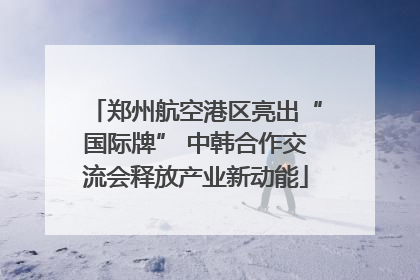 郑州航空港区亮出“国际牌” 中韩合作交流会释放产业新动能