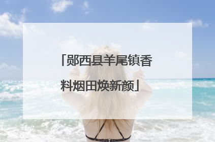 郧西县羊尾镇香料烟田焕新颜