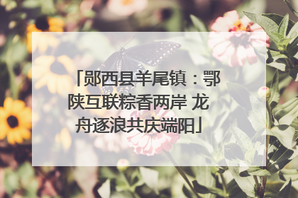 郧西县羊尾镇：鄂陕互联粽香两岸 龙舟逐浪共庆端阳