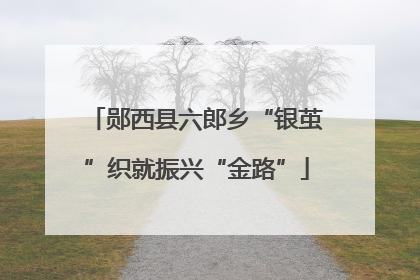 郧西县六郎乡“银茧”织就振兴“金路”