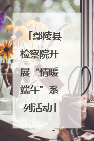 鄢陵县检察院开展“情暖端午”系列活动