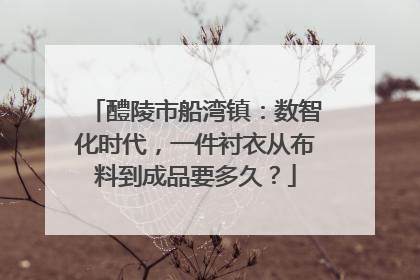 醴陵市船湾镇：数智化时代，一件衬衣从布料到成品要多久？