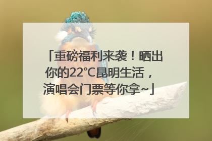 重磅福利来袭！晒出你的22℃昆明生活，演唱会门票等你拿~
