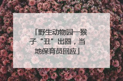 野生动物园一猴子“丑”出圈，当地保育员回应