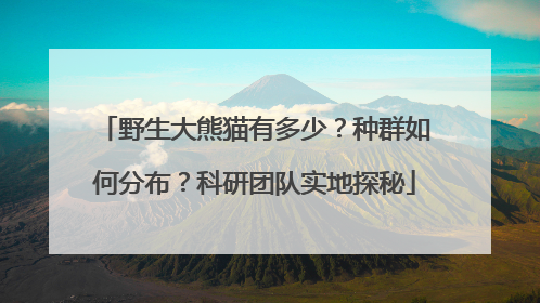 野生大熊猫有多少？种群如何分布？科研团队实地探秘